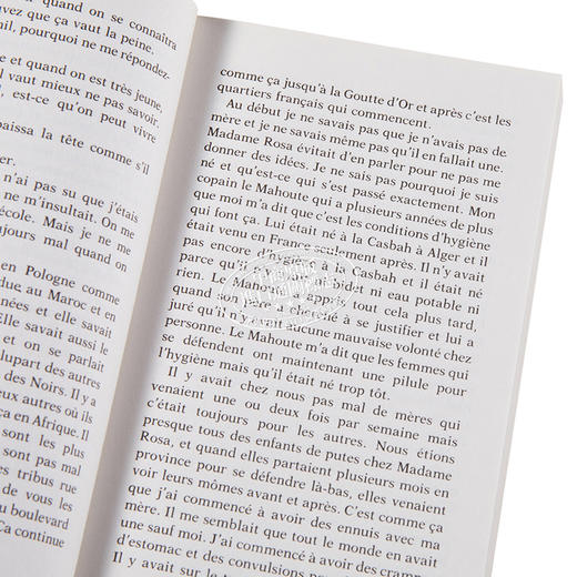 【中商原版】罗曼 加里 如此人生 来日方长 龚古尔获奖作家 法文原版  商品图3