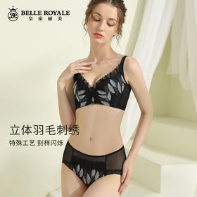 皇家丽美WW203-3内衣小胸显大聚拢文胸收副乳中厚款无钢圈文胸