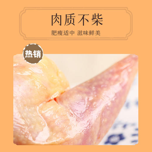 【泰康腌腊】南风鸡950g 商品图1