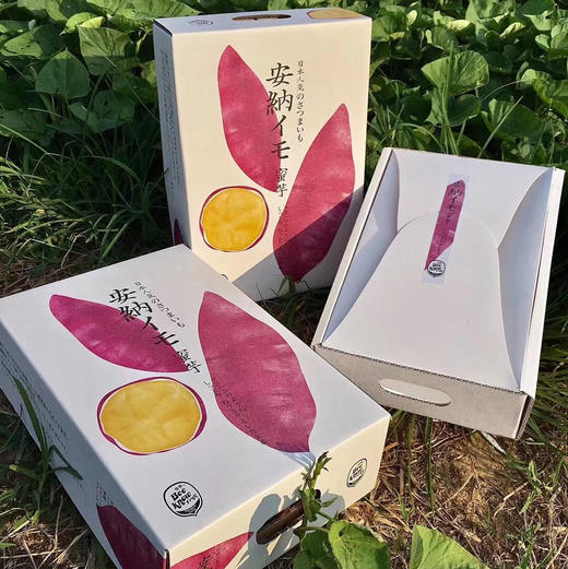 安耐芋地瓜来~地瓜界的实力派idol 日本品种，安纳芋，代餐神器这个地瓜非常好吃，不会很干甜甜糯糯的口感特别适合小孩子和老人吃~吃过的都知道这个地瓜[呲牙][呲牙]好吃 商品图6