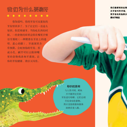 《大英儿童百科全书：小朋友的大问题》（全8册） 商品图4