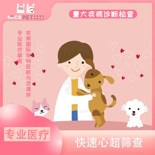 快速心超筛查服务 商品图0