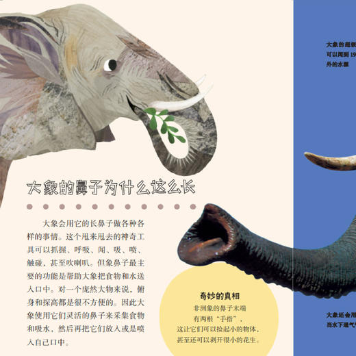 《大英儿童百科全书：小朋友的大问题》（全8册） 商品图8