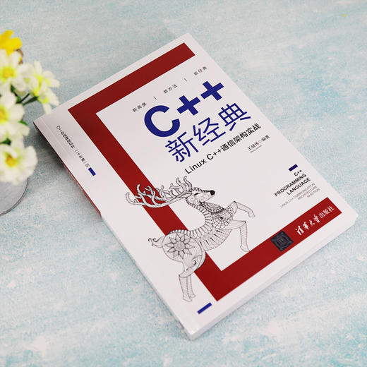 (仓发) C++新经典：Linux C++通信架构实战/清华大学出版社/王健伟/9787302555292 商品图2
