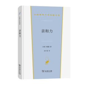 亲和力（汉译世界文学名著丛书·第3辑·小说类）