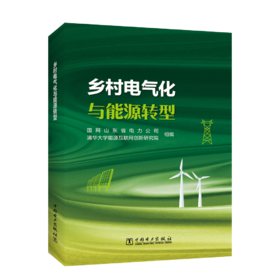 乡村电气化与能源转型