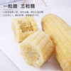【精选】王中王甜玉米 商品缩略图2