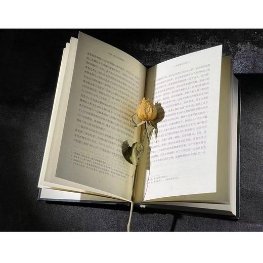 罗曼·罗兰读书随笔 商品图8