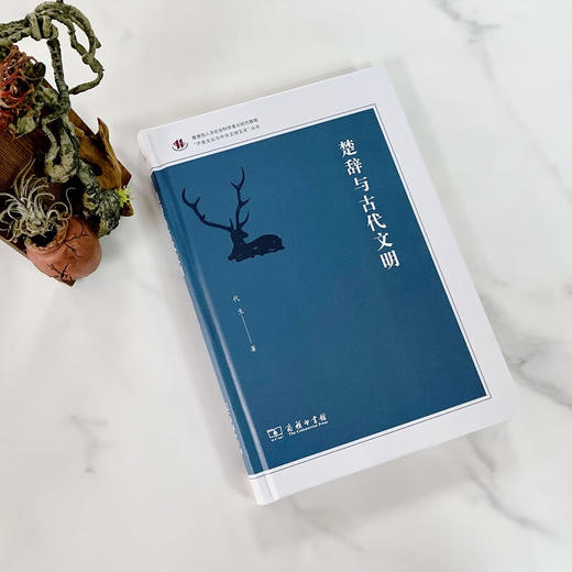 楚辞与古代文明（齐鲁文化与中华文明文库） 代生 著 商品图1