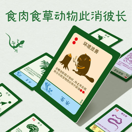 一刻馆轻策益智桌游《进化》优胜劣汰的食物链竞争游戏 商品图2