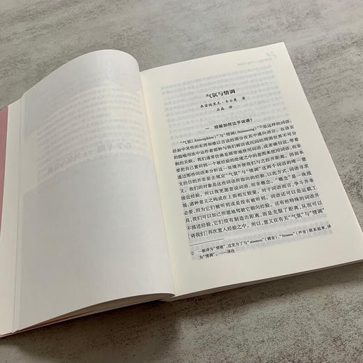 德意志思想评论 第十九卷 孙周兴 主编 商务印书馆 商品图4