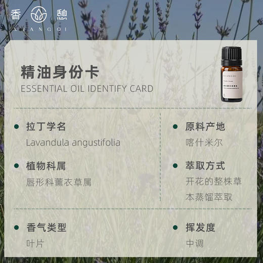 「课程·单方油」XIANGQI 香憩︱真实薰衣草精油 5ml/瓶 商品图2