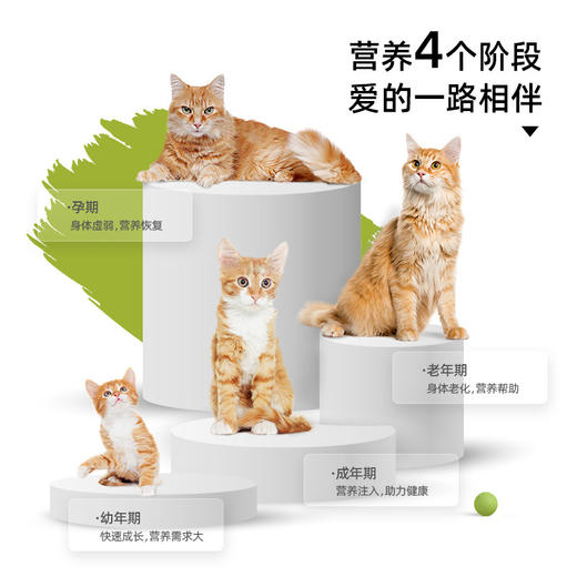 新宠之康猫咪羊奶粉5g 尝鲜装 新生猫孕猫奶粉补充营养 商品图1