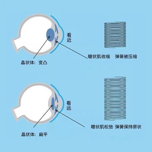 未来视界电动翻转拍--放松视疲劳--眼调节训练 商品图5
