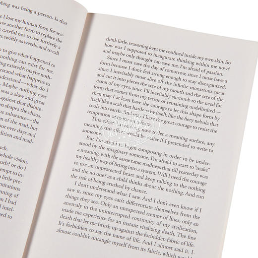 预售 【中商原版】克拉丽瑟 李丝贝朵 G H的热情 英文原版 Passion According to G H Lispector Clarice 商品图3