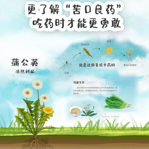 孩子认本草（5册） 商品图3