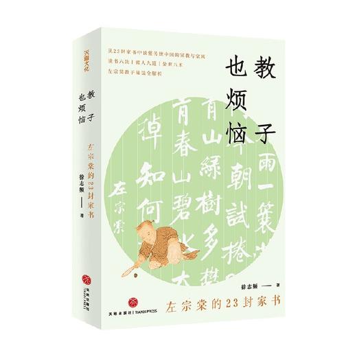 教子也烦恼 左宗棠的23封家书 徐志频 著 文学 商品图0