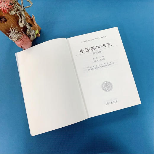 中国美学研究(第十九辑) 朱志荣 主编 王怀义 副主编 商务印书馆 商品图2