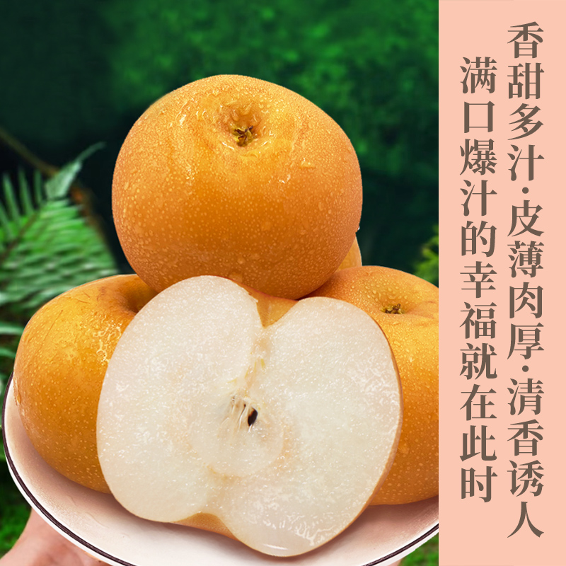 秋月梨 “加了冰糖的矿泉水”️ 白白嫩嫩的“秋月梨”～大如拳，松脆爽，甜汁多到“吸溜”喝   水嘟嘟  一件包邮