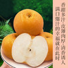 秋月梨 “加了冰糖的矿泉水”️ 白白嫩嫩的“秋月梨”～大如拳，松脆爽，甜汁多到“吸溜”喝   水嘟嘟  一件包邮 商品缩略图0