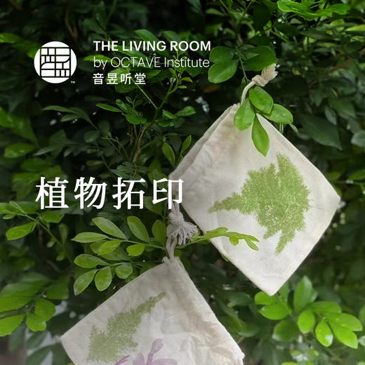 植物拓印 商品图0