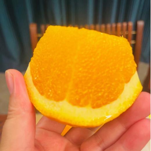 【秒杀】澳洲新奇士sunkist黑标3107橙子4.5-5斤（约10-12粒） 商品图5