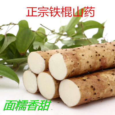 【大鹏专属】5斤装河北特产垆土铁棍山药 商品图0