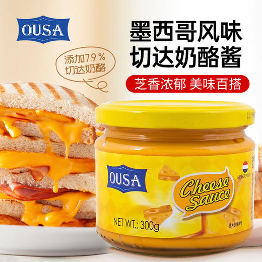 欧萨墨西哥风味切达奶酪酱 商品图0