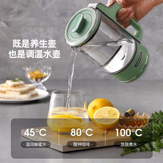 摩飞多功能煮茶器家用养生壶迷你玻璃花茶壶电烧水杯壶MR6086 商品图4