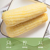 【精选】王中王甜玉米 商品缩略图3
