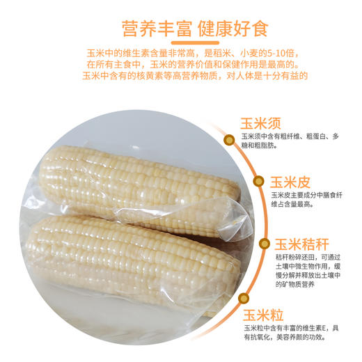 【精选】王中王甜玉米 商品图9