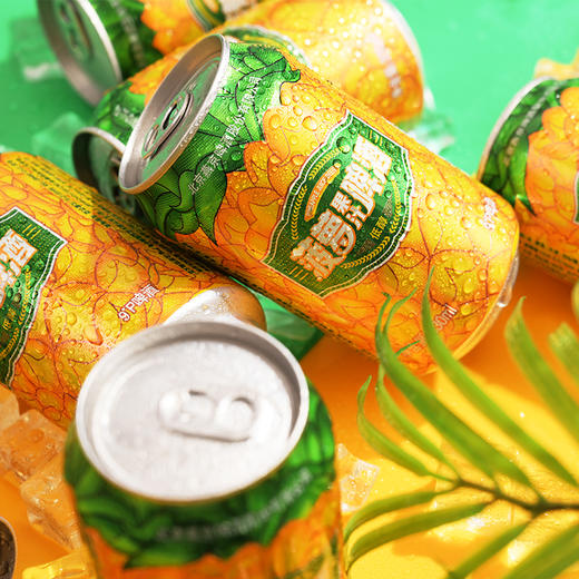 燕京啤酒:菠萝啤9度果味啤酒 330ml*24听 整箱 商品图5