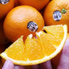 【秒杀】澳洲新奇士sunkist黑标3107橙子4.5-5斤（约10-12粒） 商品缩略图4