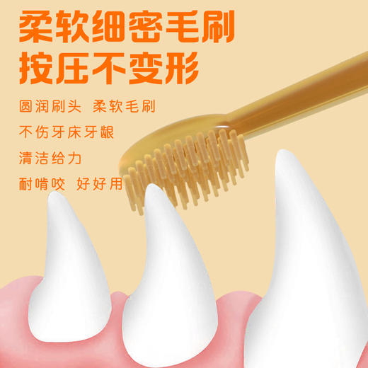 宠物硅胶牙刷2支盒装 两种刷头 狗狗猫咪口腔护理用品 厂家直供 商品图2