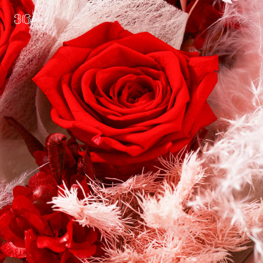 天秤座.如约永生花，一束 商品图3