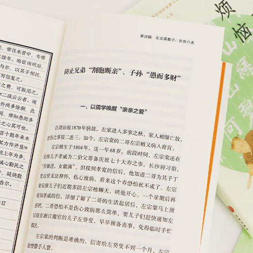 教子也烦恼 左宗棠的23封家书 徐志频 著 文学 商品图3