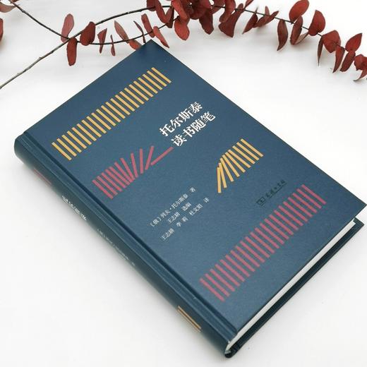 托尔斯泰读书随笔 商品图1