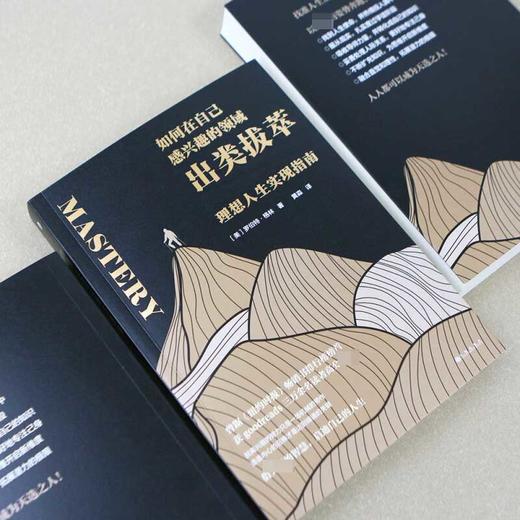 如何在自己感兴趣的领域出类拔萃 罗伯特•格林 著 励志 商品图3