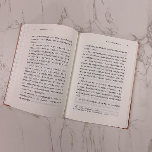 当态度变为形式——绘画与哲学十讲 顾跃 著 商务印书馆 商品图4