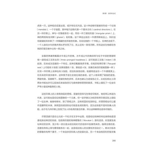 失落的神秘之地：古印度河文明/世界古文明译丛/浙江大学出版社/简·R.麦金托什、陈明辉、林森/责编:丁佳雯/朱梦琳 商品图2