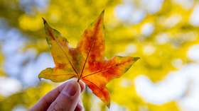 十一宅家or出游？换季肌肤问题不要忽视了~