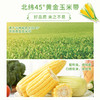 【精选】王中王甜玉米 商品缩略图1