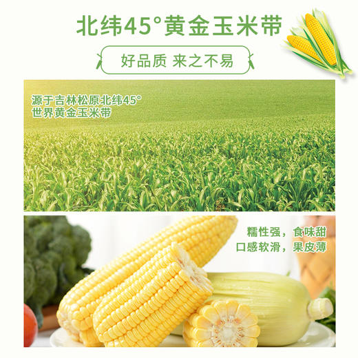 【精选】王中王甜玉米 商品图1