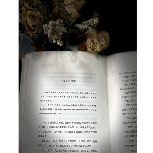 花园不是一天建成的 [美]艾米·斯图尔特 著 吴湛 译 商务印书馆 商品图4