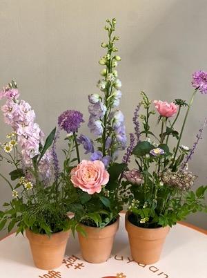 悦享心境-正念花艺 商品图1