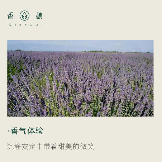「课程·单方油」XIANGQI 香憩︱真实薰衣草精油 5ml/瓶 商品图1