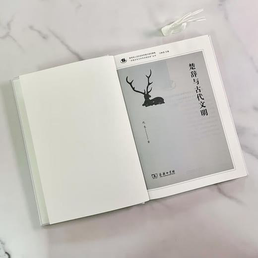 楚辞与古代文明（齐鲁文化与中华文明文库） 代生 著 商品图3