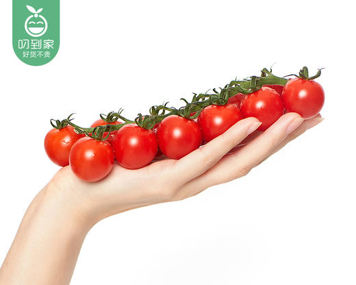 电白串茄小番茄（450g±30g/盒） 商品图3