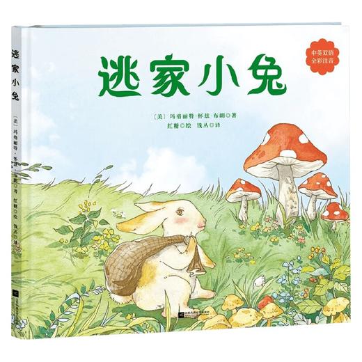 逃家小兔 3-6岁 玛格丽特·怀兹·布朗 著 儿童绘本 商品图0