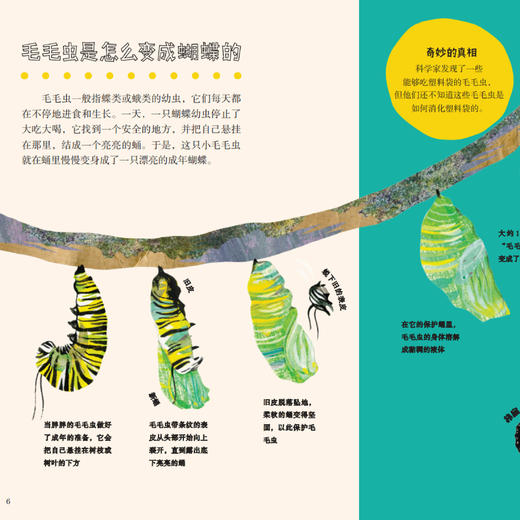 《大英儿童百科全书：小朋友的大问题》（全8册） 商品图9